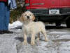 Resize to 2" wide